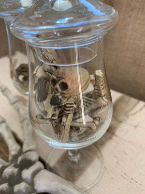 Mini Skeletons in a Jar