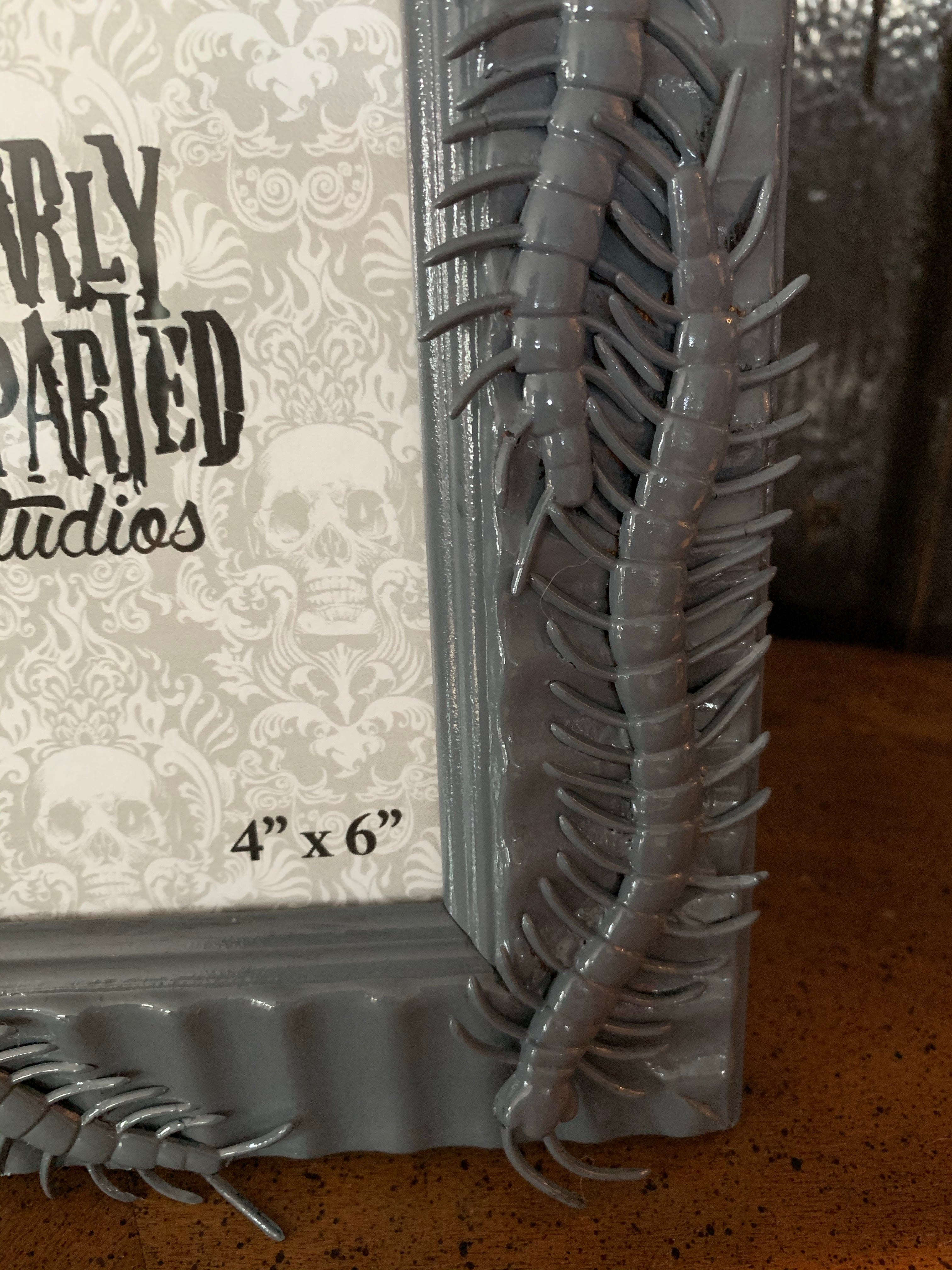 Creature Frame - Gray Centipedes
